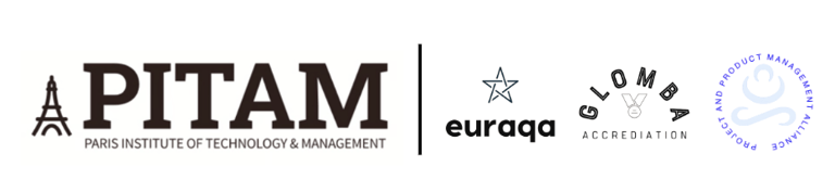 PITAM - Paris Institute of Technology & Management logo