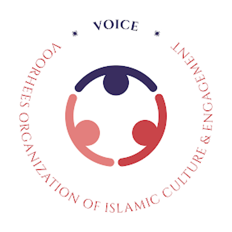 VOICE logo
