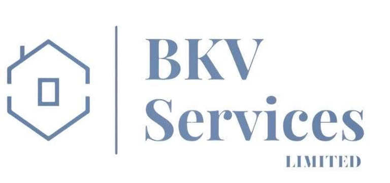 BKV SERVICES LIMITED logo