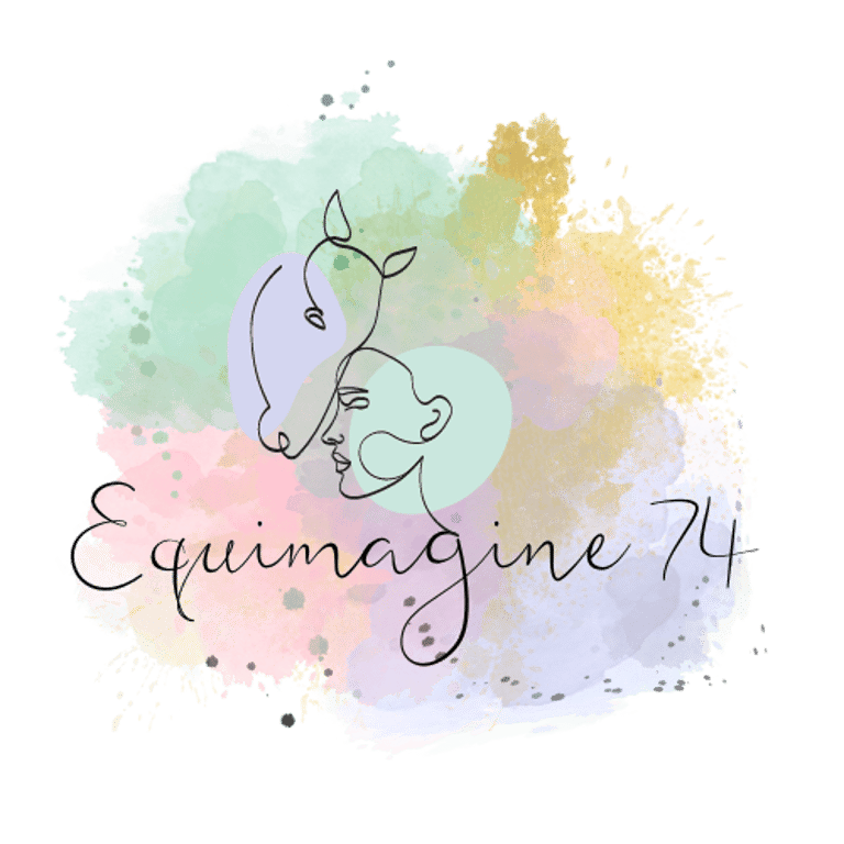 equimagine 74 logo