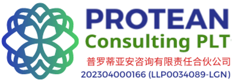 Protean Consulting Malaysia  logo