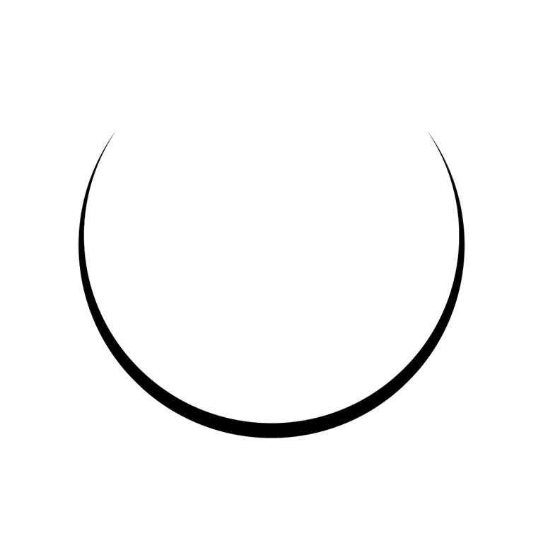 Moonstone Voyages logo