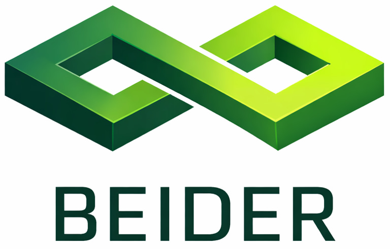 Beider Simulations logo