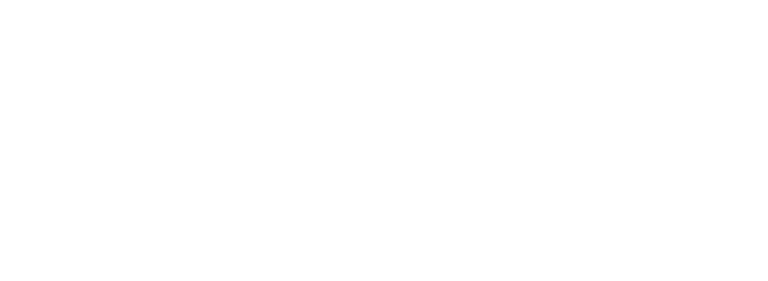 Simplify & Succeed logo