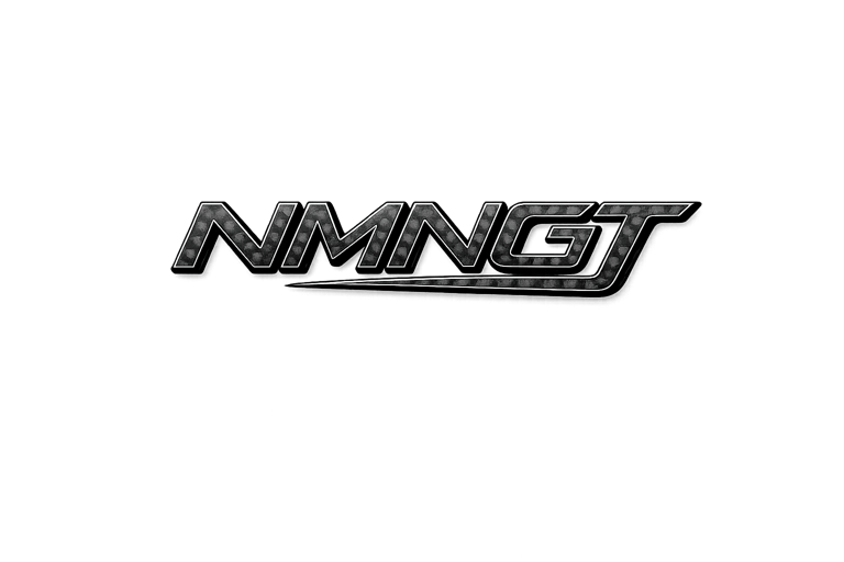 NemunasGT logo