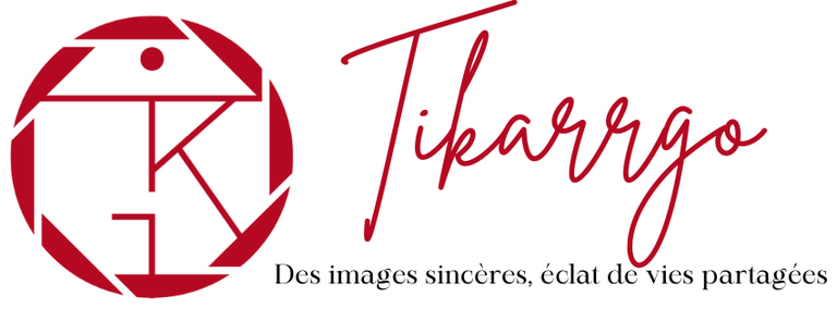 Tikarrgo logo