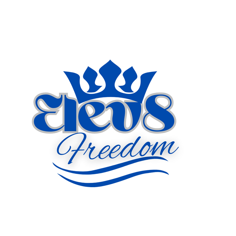Elevate Freedom Apparel logo