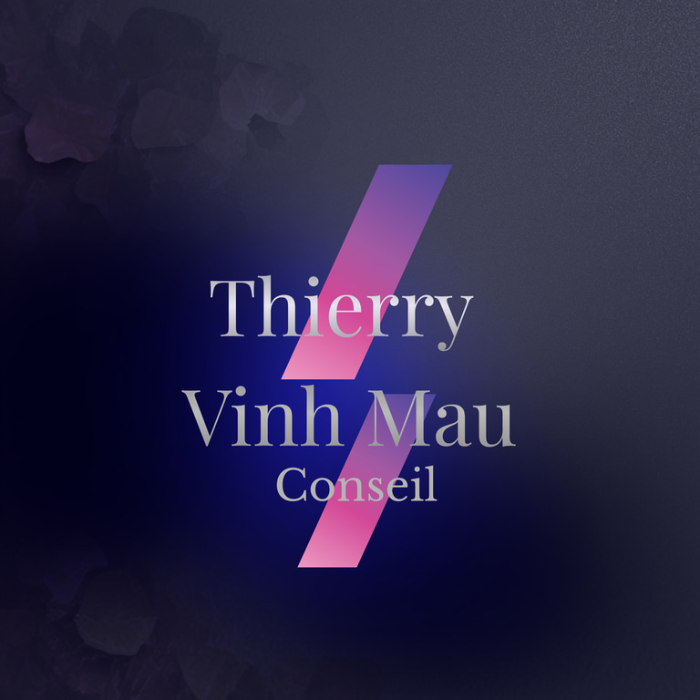 Vinh Mau Conseil logo
