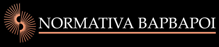 NORMATIVA BAPBAPOI logo
