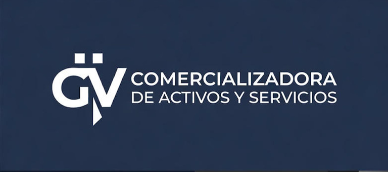GV COMERCIALIZADORA DE ACTIVOS Y SERVICIOS logo