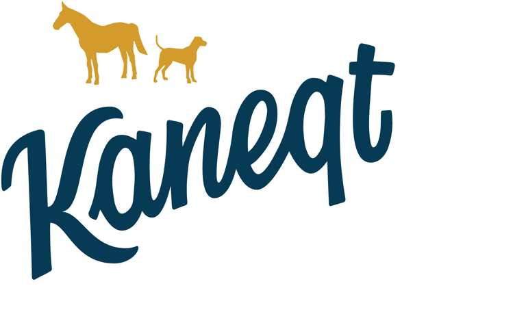 Kaneqt logo