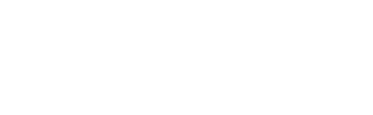 FlyPath logo