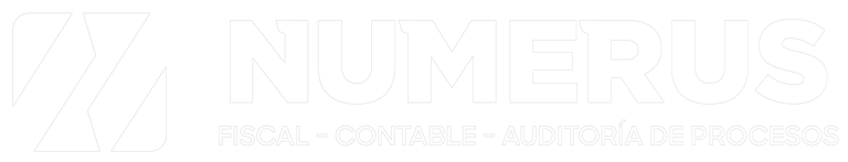 Numerus Consulting logo