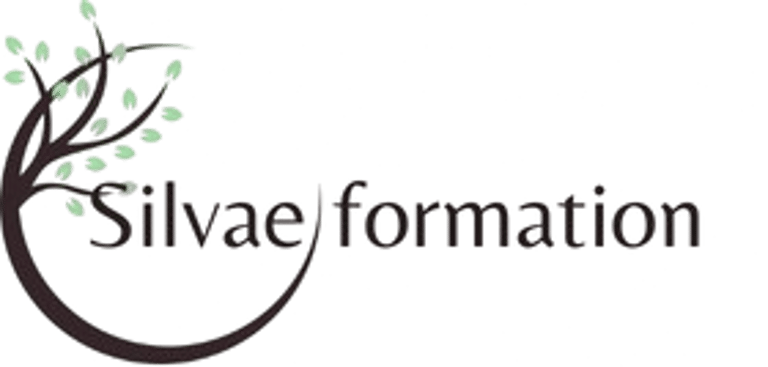 Silvae Formation logo
