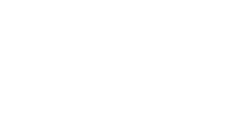 patriciozweig logo