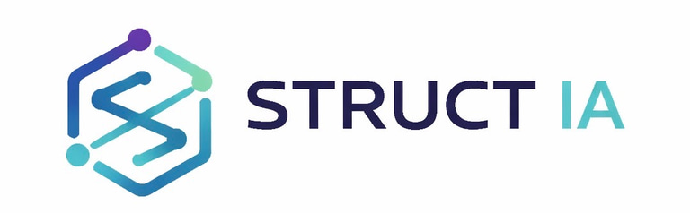 Struct IA logo