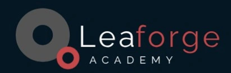 Accenverse Consulting logo