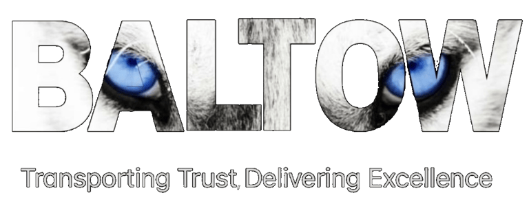 Baltow LLC logo