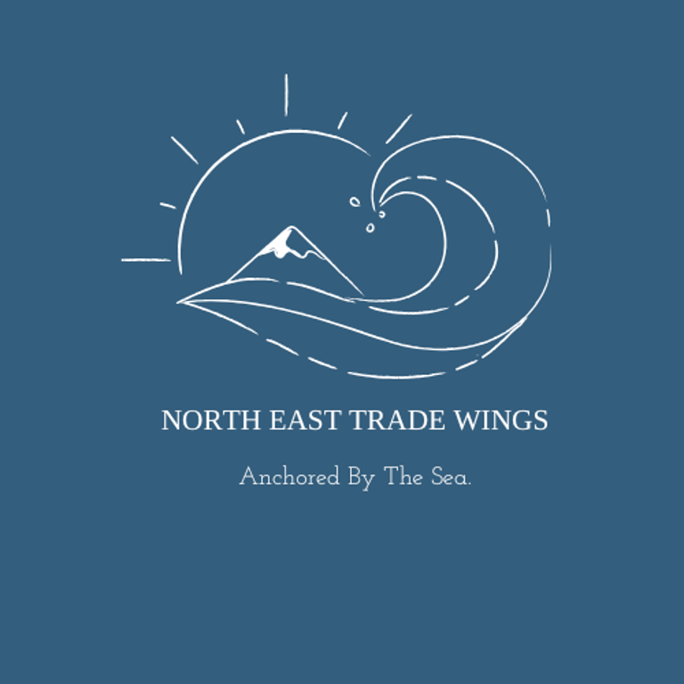 North East Trade Wings logo