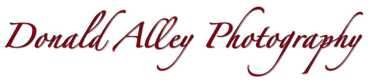 Donald Alley Photography logo