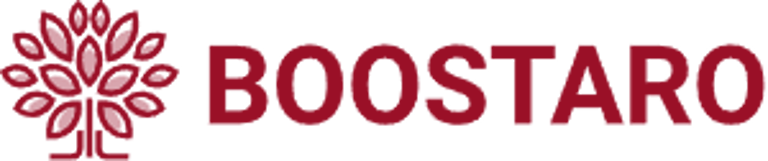 Boostaro logo