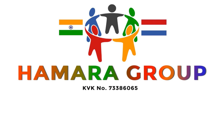 Hamara Group in Netherlands logo