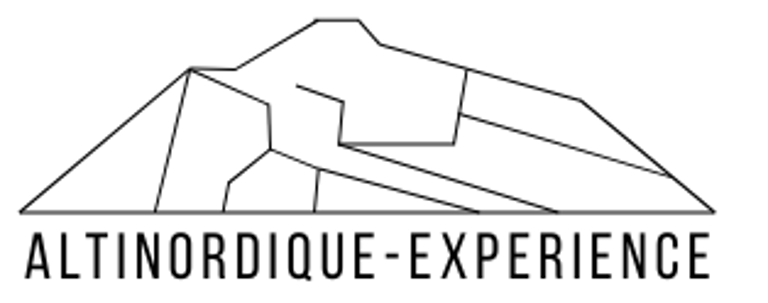 altinordique-experience.fr logo