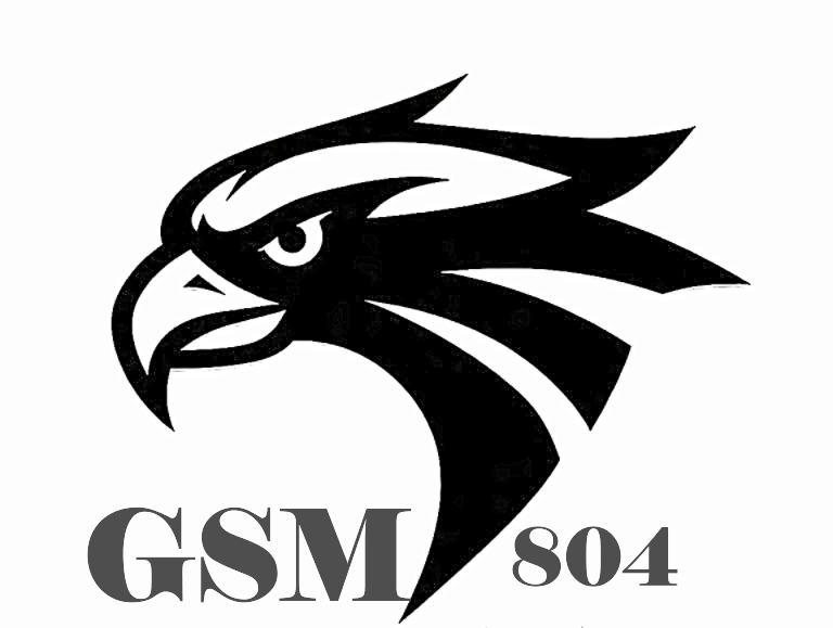 GSM 804 logo