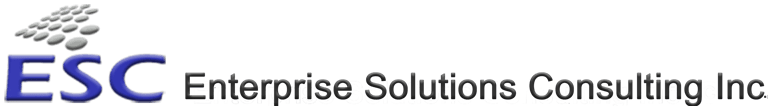 Enterprise Solutions Consulting Inc. logo