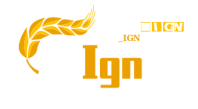 Igniting the Fire International Ministries Inc logo