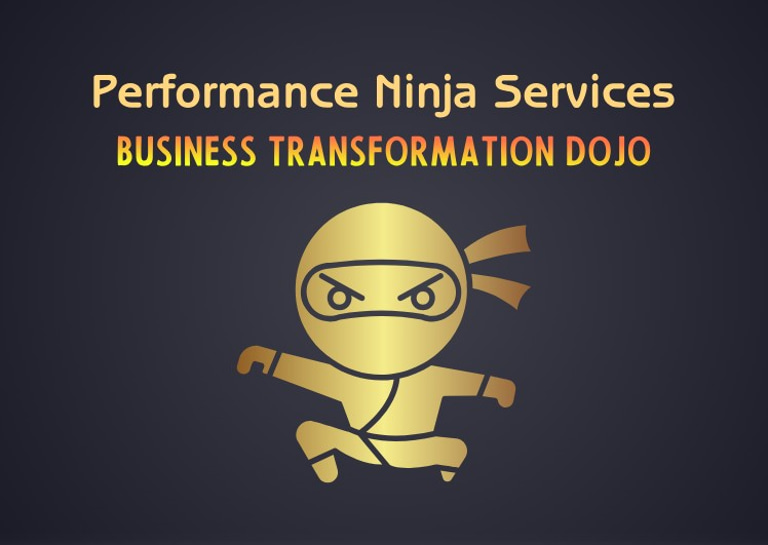 Performance Ninja Services logo