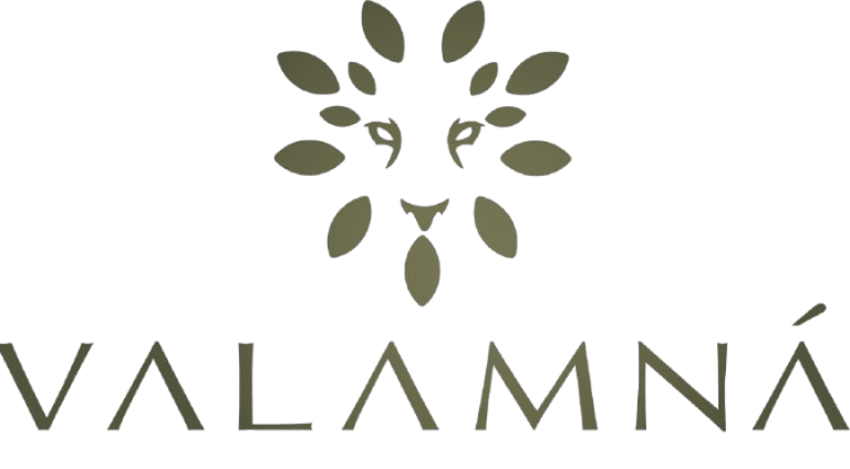 VALAMNA logo