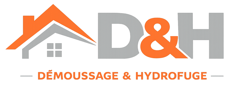 D&H logo