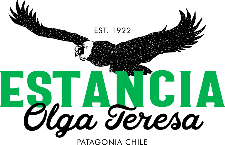 Turismo Olga Teresa logo