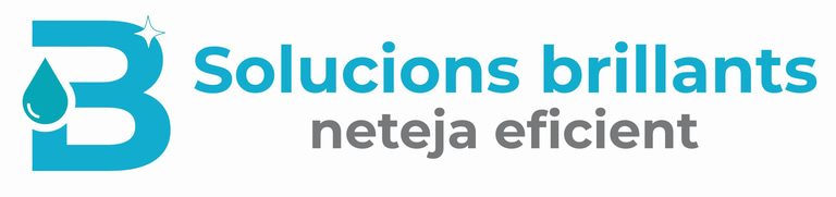 Solucions Brillants logo