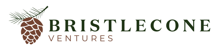Bristlecone Ventures logo