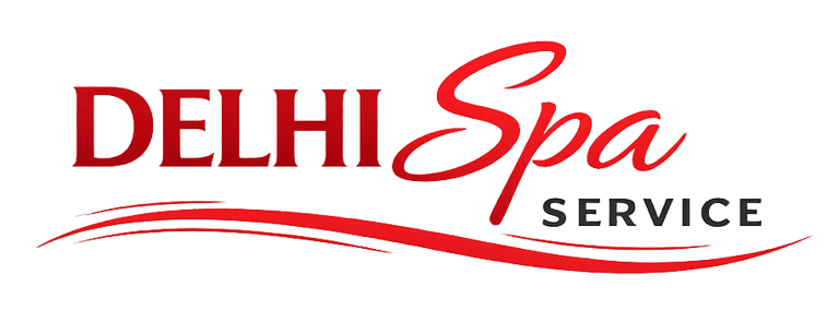 DELHI SPA SERVICE logo