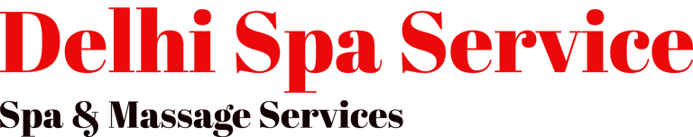 DELHI SPA SERVICE logo