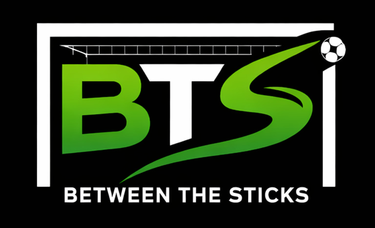Between The Sticks logo