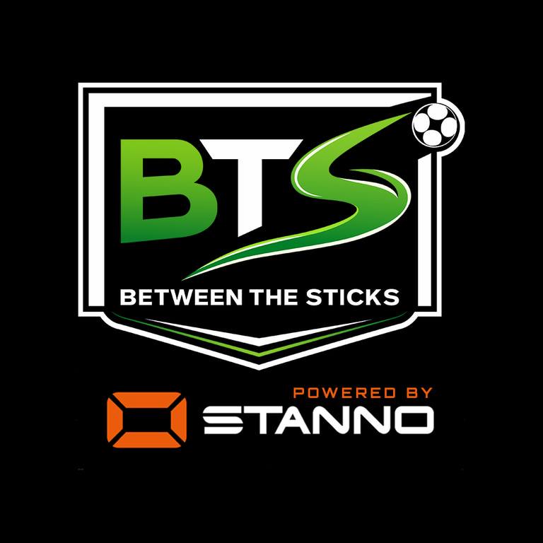 Between The Sticks logo