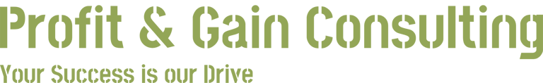 Profit & Gain Consulting logo