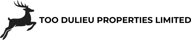 TOO DULIEU PROPERTIES LIMITED logo