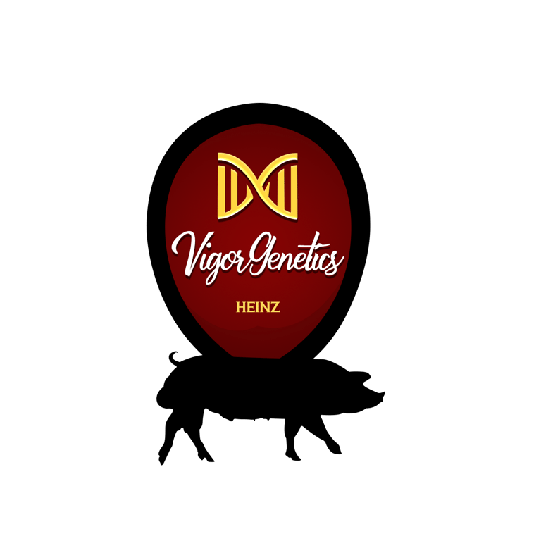 VIGORGENETICS logo