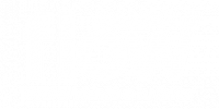 Pampa Flow logo