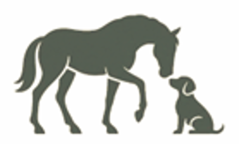 ANA DOMECQ VETERINARY PHYSIOTHERAPY logo