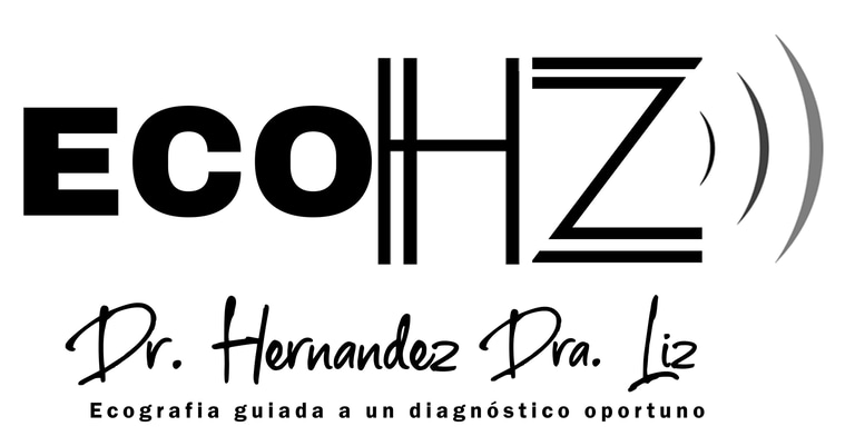 EcoHZ - Ecografia diagnostica logo