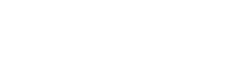 Camera Security logo