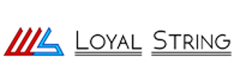 PuneTech Solutions logo