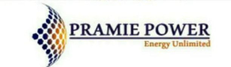 PRAMI Enterprises logo
