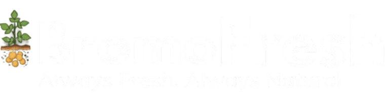 Bromo Fresh logo